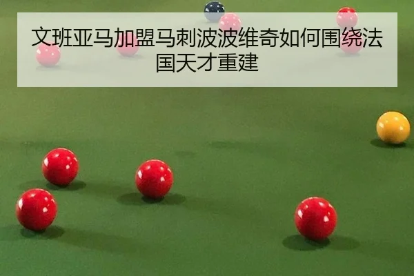 文班亚马加盟马刺波波维奇如何围绕法国天才重建