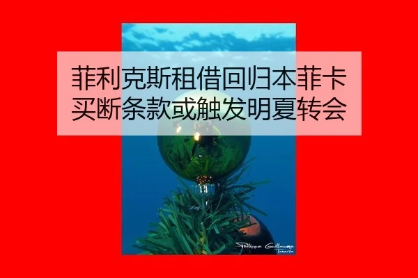 菲利克斯租借回归本菲卡 买断条款或触发明夏转会